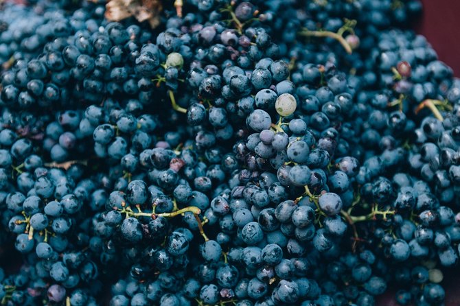 Grape Stomping in Tuscan Farmhouse - Additional Information for Guests