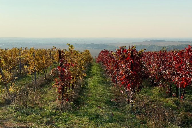Great Wine Tour in Small Carpathian Hills - Wine and Cheese Tasting at Red Stone Castle