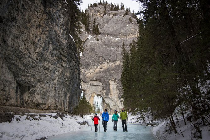 Grotto Canyon Icewalk - How to Book Your Tour