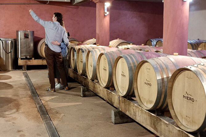 Guided Day Tour and Wine Tasting Northern Rhône Valley - Transportation and Guide