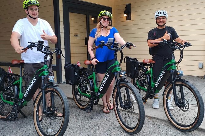 Guided E-Bike Wine Tour With Tastings and Lunch - Eco-friendly Transport