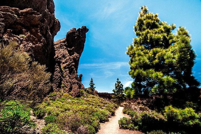 Guided Hike - The Tajinaste Trail - Reviews and Ratings