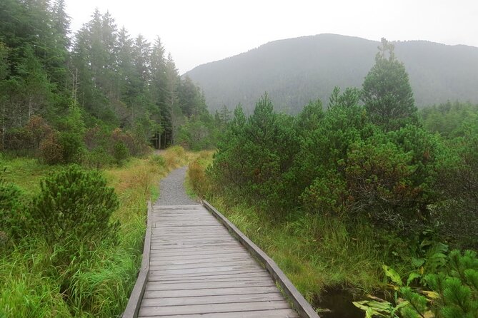 Guided Hike | TONGASS NATIONAL FOREST - Appreciating the Natural Beauty