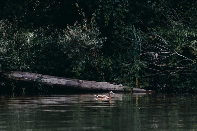 Guided Kayaking on the Nalón River Oviedo - Customer Satisfaction Ratings
