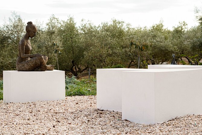Guided Tour Museum of Contemporary Art and Sculpture Park - Pricing and Guarantee