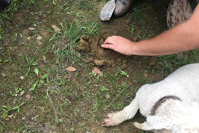 Guided Truffle Hunt Istria - Customer Reviews