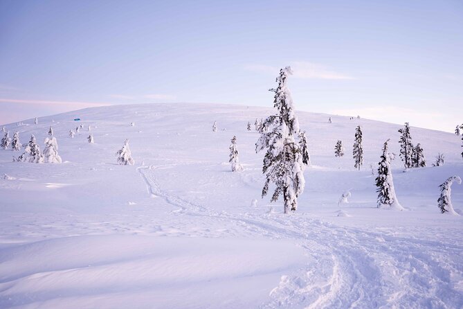 Half-Day Backcountry Skiing Tour in Levi With Photography Guide - Itinerary