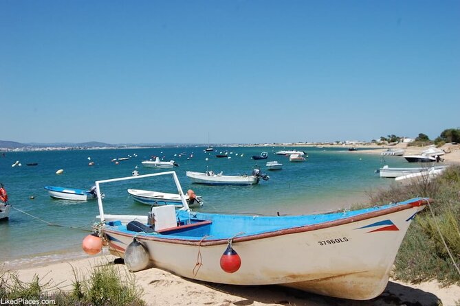 Half-Day Boat Trip to the Ria Formosa Islands - Exploring the Ria Formosa Islands