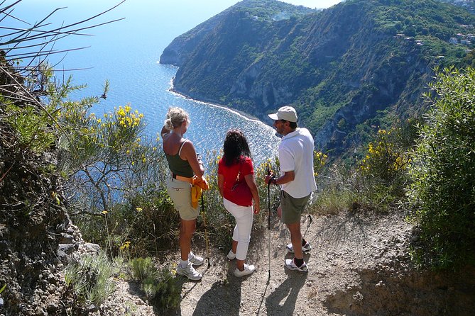 Half-Day East Coast Hike in Ischia Island With Pick-Up - Scenic Views of Ischia Island