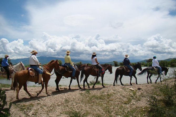 Half-Day Horseback Riding Adventure - Additional Tour Information