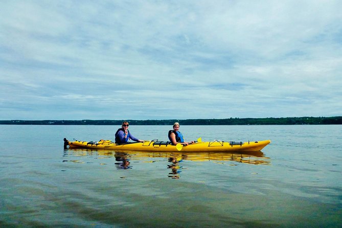 Half-Day Orleans Island Small-Group Sea Kayaking Tour - Traveler Feedback