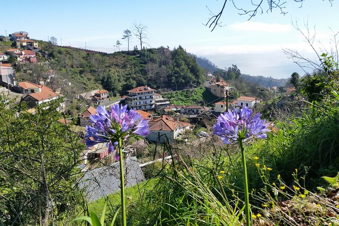 Half-Day Paradise Valley Walking Tour - What to Expect