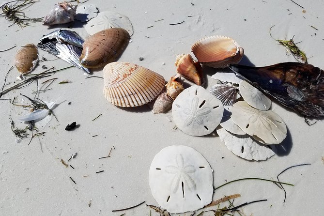 Half-Day Private Boating On Black Hurricane - Indian Rocks Beach - Sum Up