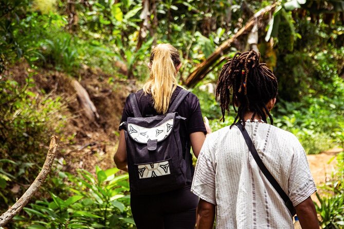 Half-Day Private Tour to Materuni Waterfalls and Coffee Excursion - Booking Your Tour
