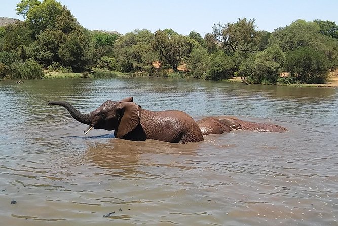 Half Day Safari Tour From Johannesburg - About the Tour Operator