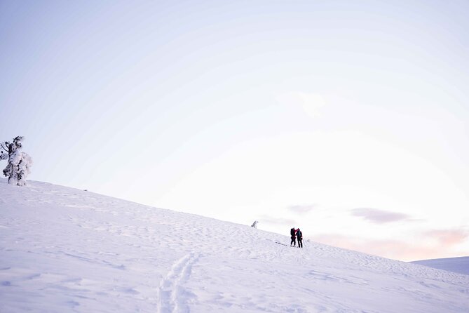 Half Day Snowshoe Hiking Adventure in Levi Lapland - Stunning Arctic Nature