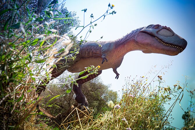 Half Day Tour to Dinosaur Land in Mallorca - Visitor Information