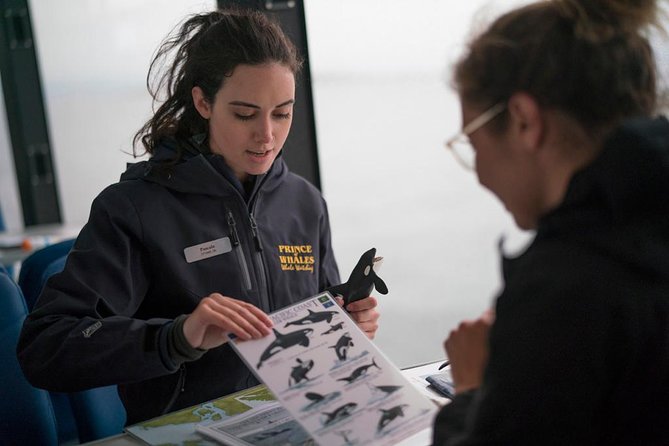Half-Day Whale Watching Adventure From Telegraph Cove - Additional Information