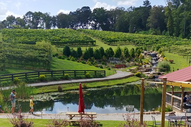 Half-Day Wine Tastings in the North Georgia Mountains - Scenic Drive Through North Georgia