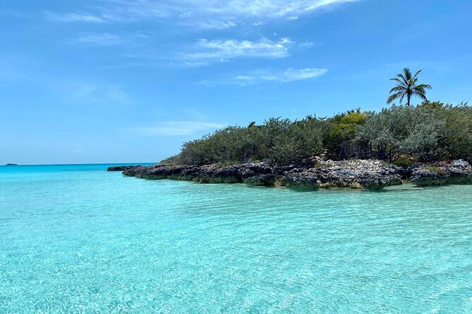 Harbour Island Swimming Pigs and Beaches Boat Tour With Lunch - Guided Golf Cart Tour