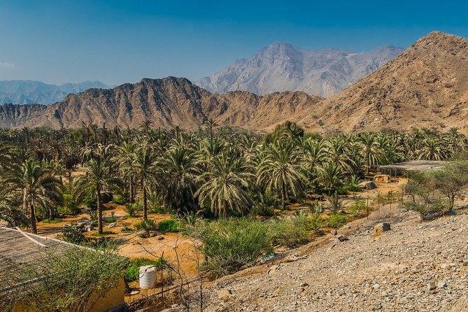 Hatta Mountain Adventure Tour - Booking Your Adventure