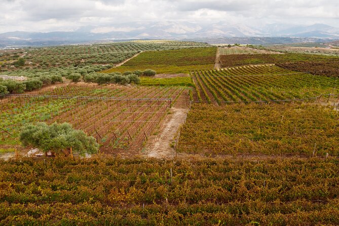 Heraklion Private Half-Day Wine Tasting Tour in Lyrarakis Winery - Viator Help Center Support