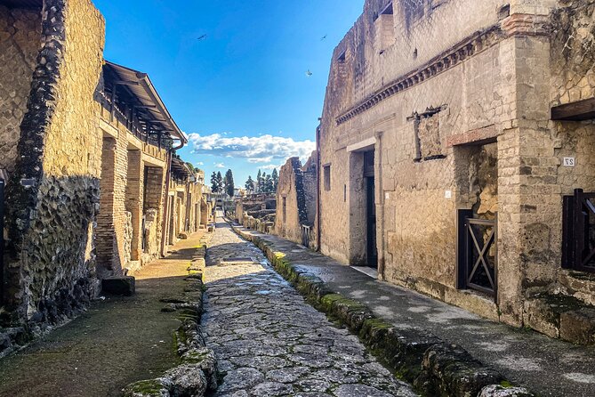 Herculaneum 3D Skip the Line Walking Tour - Tour Highlights