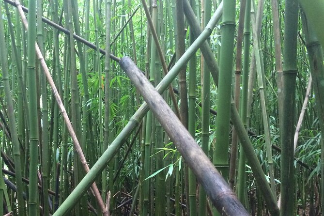 Hidden Hawaii Tours - Cancellation and Refund Policy