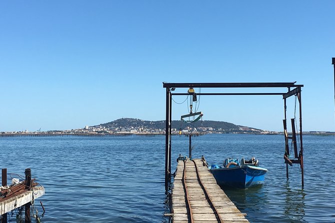 Highlights of Sète Food and Wine Tour Review - Highlights of the Tour