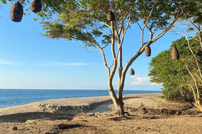 Hike and Yoga Jungle Experience in Mexico - Traveler Feedback and Recommendations
