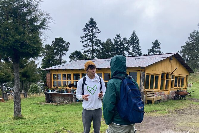 Hike in the Sierra Norte, Cuajimoloyas - Discovering the Forests Beauty