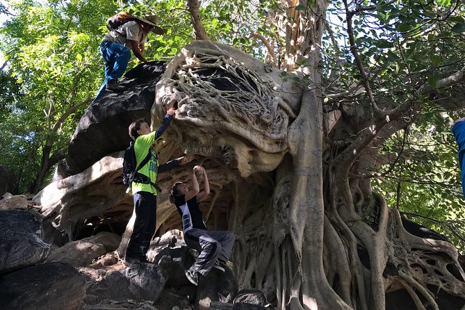 Hike the Native Pericu Road in Sierra De La Laguna. - Authentic Rancho Culture Experience