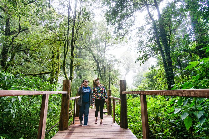 Hike to the Highest Spot + Waterfall in Chiang Mai - Customer Reviews and Ratings