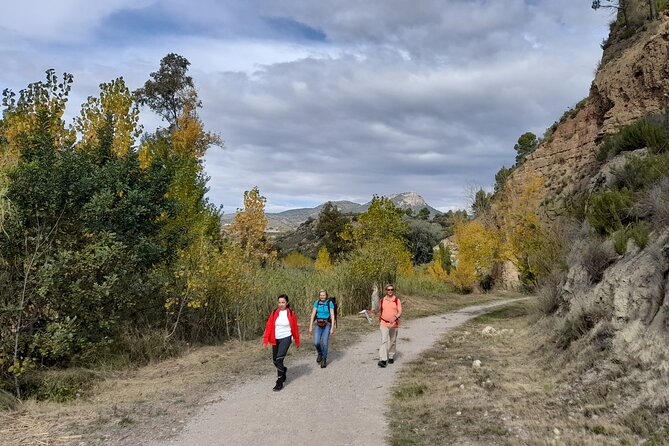 Hike to the Roman Aqueduct Peña Cortada - Exploring the Roman Aqueduct