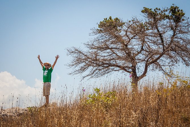 Hiking Around Navarino Bay - Support and Resources
