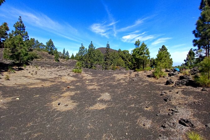 Hiking Classic Tenerife - Health and Fitness Requirements