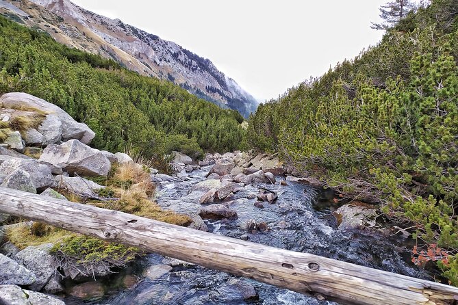 Hiking in Pirin- the UNESCO World Heritage Natural Park With a Visit of Bansko - Traveler Testimonials and Feedback