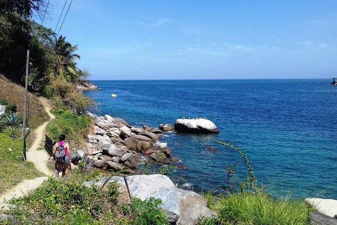 Hiking in the Mountain and Snorkeling at Colomitos - Discovering Nature and Wildlife