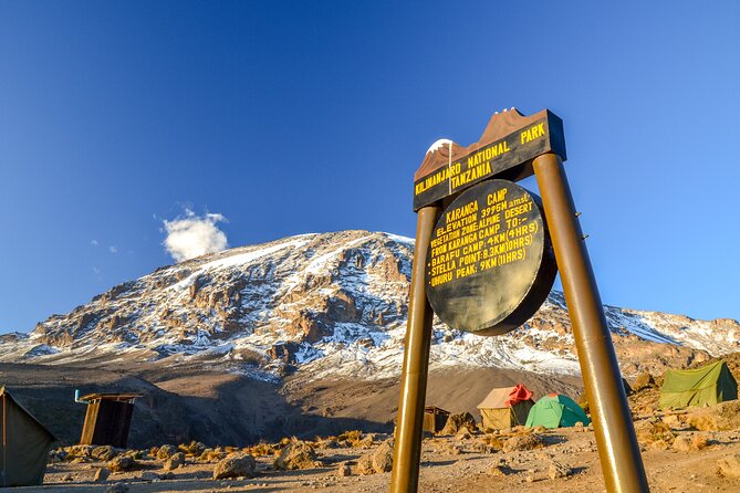 Hiking Mt Kilimanjaro 8 Days, the Most Scenic Route up Kili - Traveler Experiences and Reviews