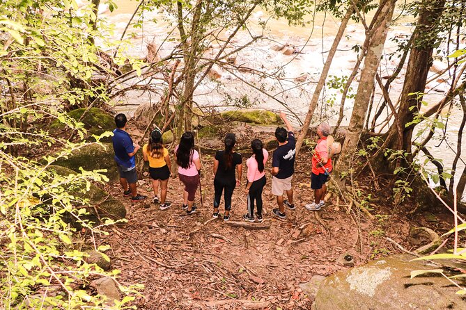 Hiking to Vallarta Botanical Garden. - Traveler Experiences and Feedback