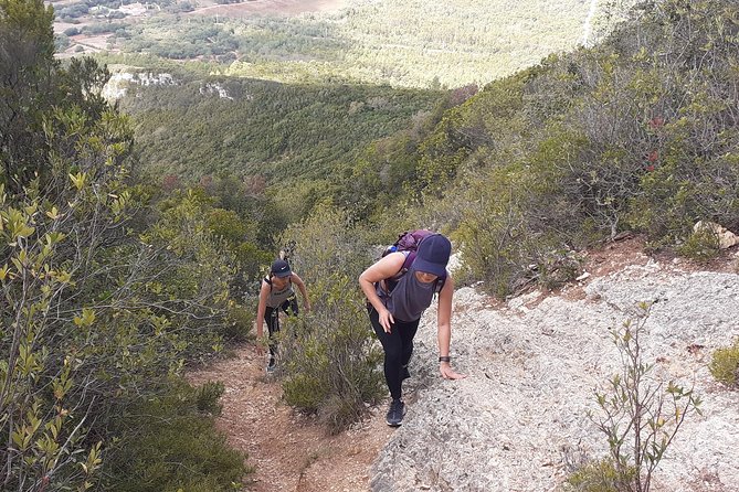 Hiking Tour to the Highest Point of Arrábida Mountain - Customer Reviews and Ratings