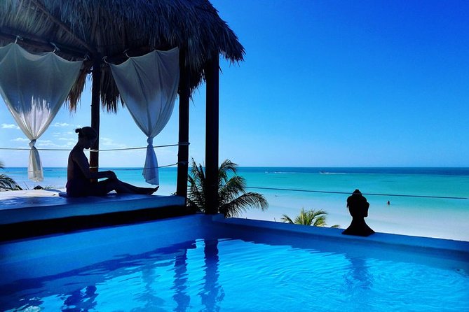Holbox Island Full Day Trip With Lunch From Playa Del Carmen - Tour Meeting Point