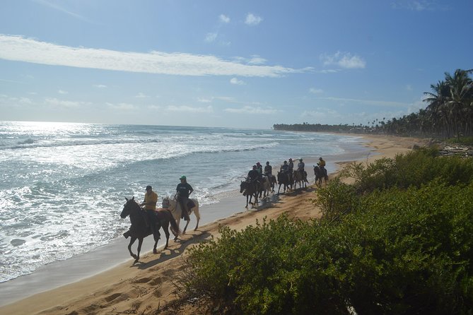 Horse Riding (1 Hour) - Memorable Experiences