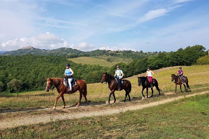 Horse Riding in Tuscany for Experienced Riders: Full-day Trail Ride - Picnic Lunch and Refreshments