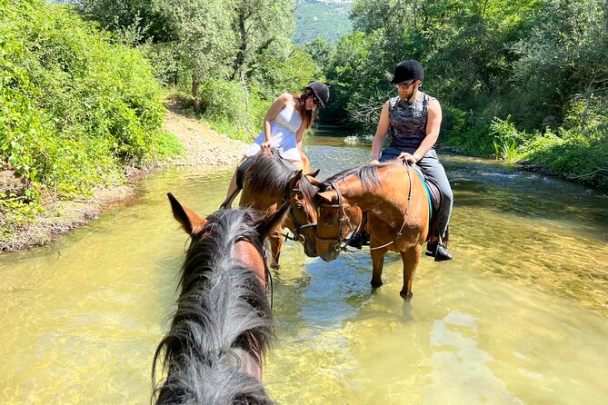 Horseback Riding Across River Ljuta With Transport - Sum Up