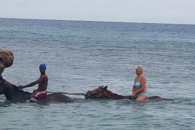 Horseback Riding Dunns River Falls Adventure From Montego Bay - Scenic Countryside and Beach