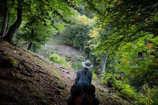 Horseback Riding in Armenia - Testimonials and Reviews