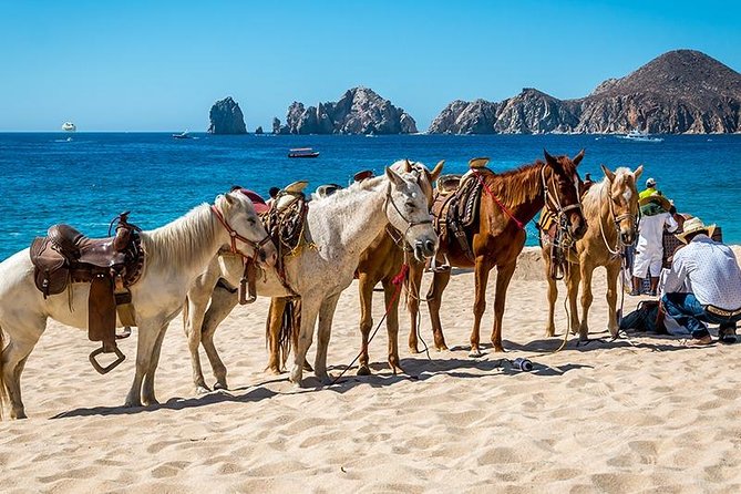 Horseback Riding on The Beach and Through The Desert! - Unforgettable Memories