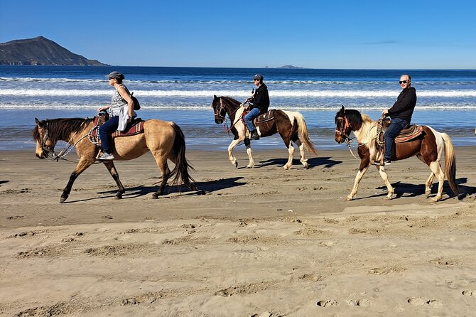 Horseback Riding on the Beach From Ensenada - Frequently Asked Questions