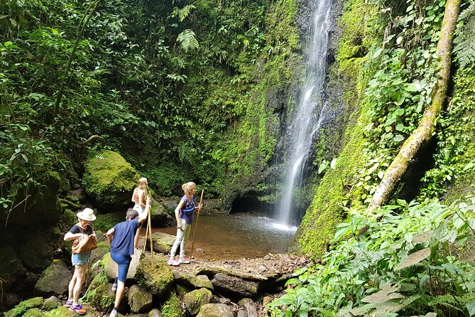 Howler Monkey Tour - Filandia Views And Gastronomy - Cancellation Policy Details
